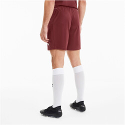 PUMA teamGOAL 23 Knit Shorts cordovan M