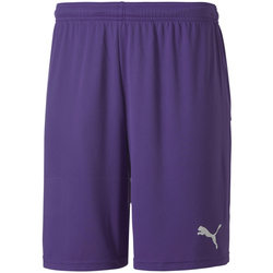 PUMA teamGOAL 23 Knit Shorts prism violet XXL