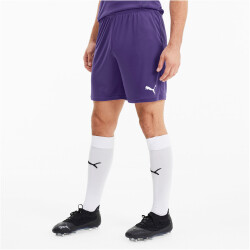 PUMA teamGOAL 23 Knit Shorts prism violet XXL