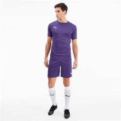 PUMA teamGOAL 23 Knit Shorts prism violet XXL