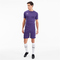 PUMA teamGOAL 23 Knit Shorts prism violet XXL