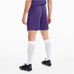 PUMA teamGOAL 23 Knit Shorts prism violet M
