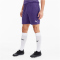 PUMA teamGOAL 23 Knit Shorts prism violet M