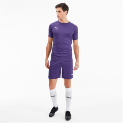PUMA teamGOAL 23 Knit Shorts prism violet L