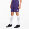 PUMA teamGOAL 23 Knit Shorts prism violet L