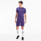 PUMA teamGOAL 23 Knit Shorts prism violet L