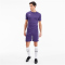 PUMA teamGOAL 23 Knit Shorts prism violet XL