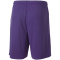 PUMA teamGOAL 23 Knit Shorts prism violet XL