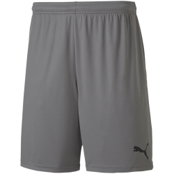 PUMA teamGOAL 23 Knit Shorts steel gray S