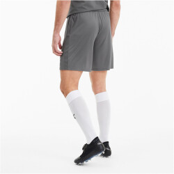 PUMA teamGOAL 23 Knit Shorts steel gray S
