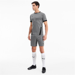 PUMA teamGOAL 23 Knit Shorts steel gray S