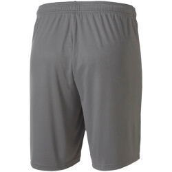 PUMA teamGOAL 23 Knit Shorts steel gray S