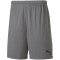 PUMA teamGOAL 23 Knit Shorts steel gray S