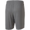 PUMA teamGOAL 23 Knit Shorts steel gray S