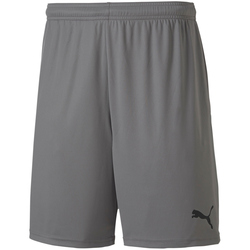 PUMA teamGOAL 23 Knit Shorts steel gray L