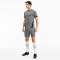 PUMA teamGOAL 23 Knit Shorts steel gray XXL