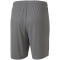 PUMA teamGOAL 23 Knit Shorts steel gray XXL