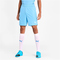 PUMA teamGOAL 23 Knit Shorts team light blue L