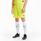 PUMA teamGOAL 23 Knit Shorts fluo yellow/puma black M
