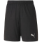 PUMA teamGOAL 23 Knit Shorts Kinder puma black 152