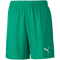 PUMA teamGOAL 23 Knit Shorts Kinder pepper green 152