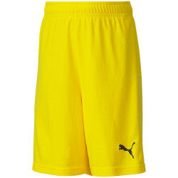 PUMA teamGOAL 23 Knit Shorts Kinder cyber yellow 140