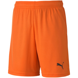 PUMA teamGOAL 23 Knit Shorts Kinder golden poppy 164