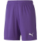 PUMA teamGOAL 23 Knit Shorts Kinder prism violet 152