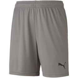 PUMA teamGOAL 23 Knit Shorts Kinder steel gray 116