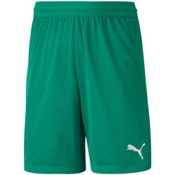 PUMA teamFINAL 21 Knit Shorts Kinder pepper green 164