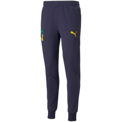 PUMA Neymar Jr. Hero Jogginghose peacoat/dandelion L