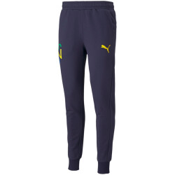 PUMA Neymar Jr. Hero Jogginghose peacoat/dandelion XXL
