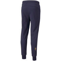 PUMA Neymar Jr. Hero Jogginghose peacoat/dandelion XXL