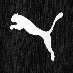 PUMA Neymar Jr. 2.0 Track Jacke puma black XL