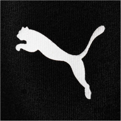 PUMA Neymar Jr. 2.0 Track Jogginghose Kinder puma black 128