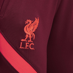 NIKE FC Liverpool Kinder Strike Fu&szlig;ballhose