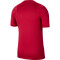 NIKE FC Barcelona Strike Trainingsshirt noble red/noble red/pale ivory M