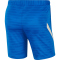 NIKE FC Barcelona Strike Fußball Shorts soar/pale ivory/pale ivory M