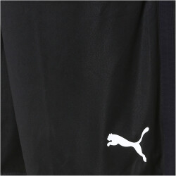 PUMA LIGA Training Shorts Core