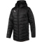 PUMA LIGA Sideline Bench Winterjacke PUMA black/PUMA white S