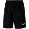 PUMA LIGA Training Shorts Core puma black/puma white XL