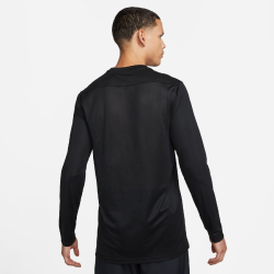 NIKE Park 20 Dri-FIT VII Trikot langarm
