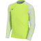 NIKE Park IV Dri-FIT Torwarttrikot Kinder