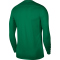 NIKE Park 20 Dri-FIT VII Trikot langarm pine green/white L