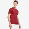 NIKE Park VII Dri-FIT Trikot kurzarm team red/white XL