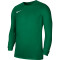 NIKE Park 20 Dri-FIT VII Trikot langarm Kinder pine green/white XS (122-128 cm)