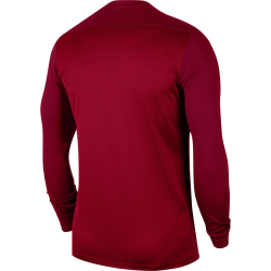 NIKE Park 20 Dri-FIT VII Trikot langarm Kinder team...