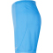 NIKE Park III Dri-FIT Knit Fu&szlig;ball Shorts Herren university blue/white S