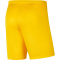 NIKE Park III Dri-FIT Knit Fu&szlig;ballshorts Herren tour yellow/black L