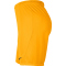 NIKE Park III Dri-FIT Knit Fußball Shorts Herren university gold/black M
